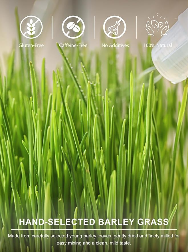 TeeLux Barley Grass Powder, 16oz, Mild & Smooth Taste, Ideal for Smoothies, Juices, Drinks, Hot or Iced Tea
