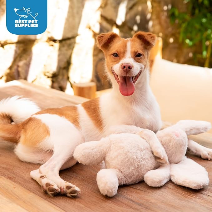 Best Pet Supplies Bunny Buddy Squeaky Plush Dog Toy - Beige, Medium | Soft Plush, Squeaks & Crinkles, Perfect for Moderate Chewers, Toss & Fetch Play, Stress & Anxiety Reliever, Ideal Gift Toy