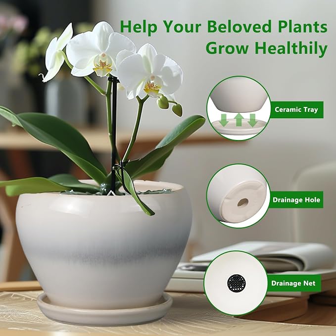 Ceramicfor 10 Inch Ceramic Planter Pot - Large Plant Pot with Drainage Hole and Saucer Round Flower Pot for Indoor Plants, White