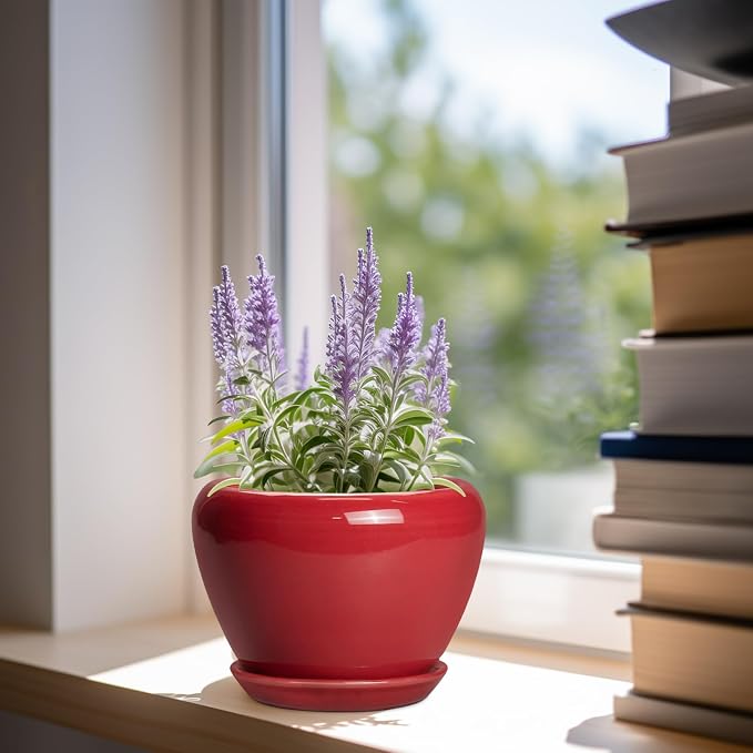 Ceramicfor 6 Inch Plant Pot - Glaze Modern Ceramic Planter for Indoor Plants, Succulent Pot with Drainage Hole and Saucer, Office Garden Home Decor, Housewarming Gift, Red