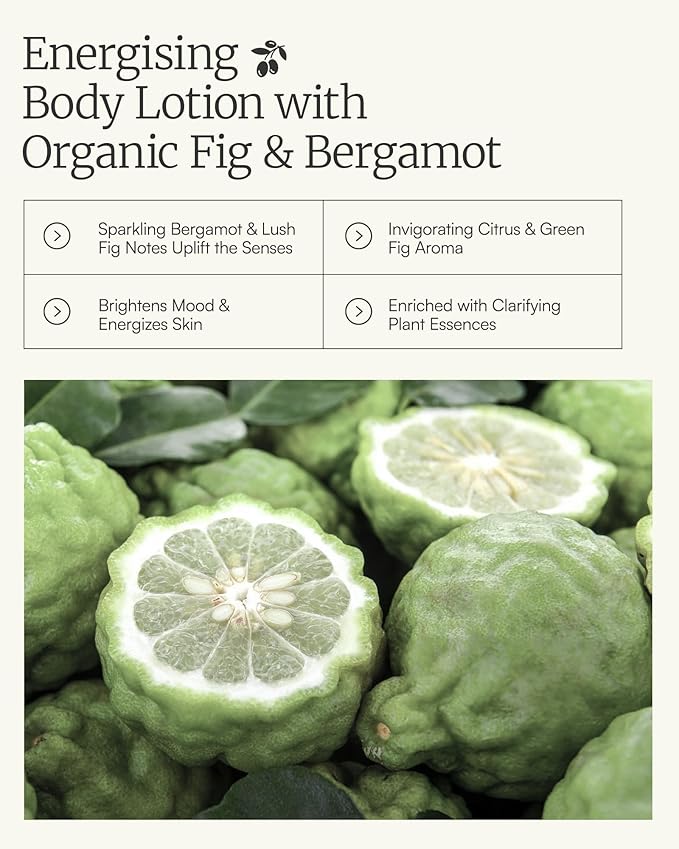 AEOLIS Refreshing Body Lotion with Bergamot & Thyme – Hydrating Moisturizer with Aloe Vera, Green Tea & Shea Butter – Non-Greasy, Vegan Skincare for All Skin Types – 6.76 fl oz