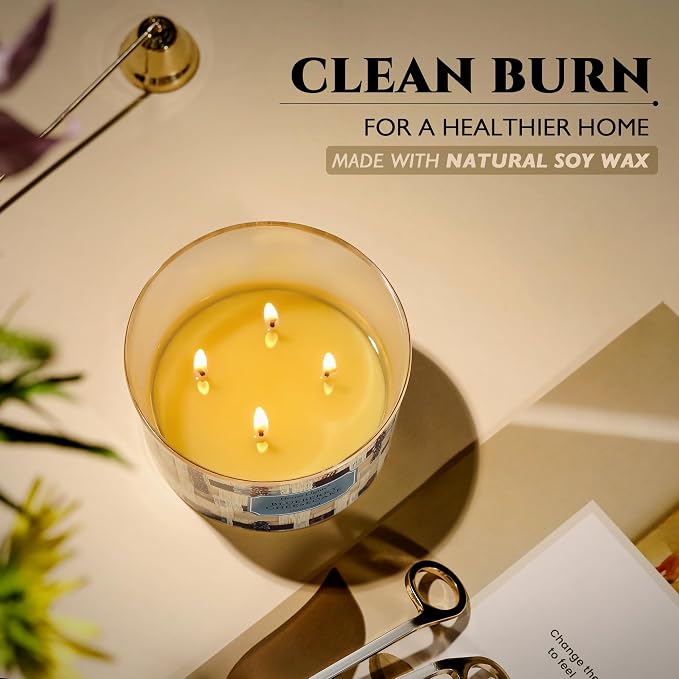 HomeLights Scented Candles for Women & Men, 18oz Candle Jars Aromatherapy 4-Wick Candle, Ideal for Rustic Modern Home Decor and Gifts, Blueberry Cheesecake