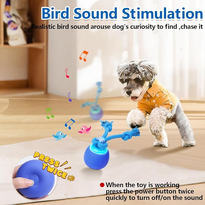 Saolife Interactive Dog Toys with Motion Activated, Squeaky Dog Toy Active Rolling Ball for Puppy and Medium Dogs, USB Rechargeable