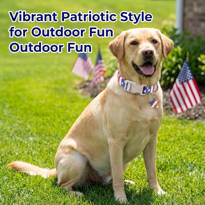 American Flag Dog Collar, Patriotic Dog Collar for Boys Girls Dog, Adjustable Puppy Collar with Star Pattern for 4th of July Occasion & Daily Walking, Fits Puppies and Small Breeds