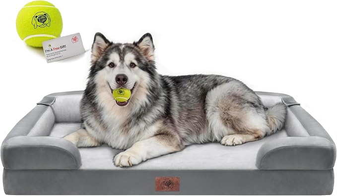 Waterproof Orthopedic Dog Bed for Extra Large Sized Dogs | Memory Foam Pet Bed Sofa with Bolster, Dog Couch with Washable Cover & Non-Slip Bottom, 48x30 Inch, Grey