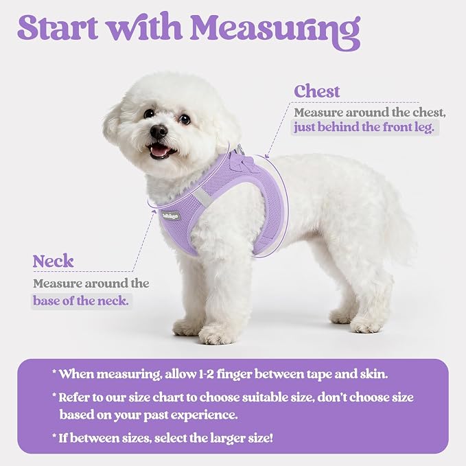 rabbitgoo Dog Harness Small Sized and Leash Set, Step-in Puppy Pet Vest | Light, Soft, Breathable Air Mesh, Easy on and Remove with Hook & Loop, Secure Reflective for Walking, Light Purple M
