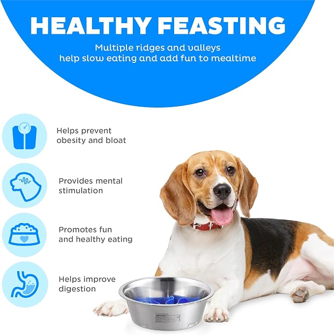Outward Hound Fun Feeder Stainless Steel Slo Bowl for Dogs, Medium, 8.3"