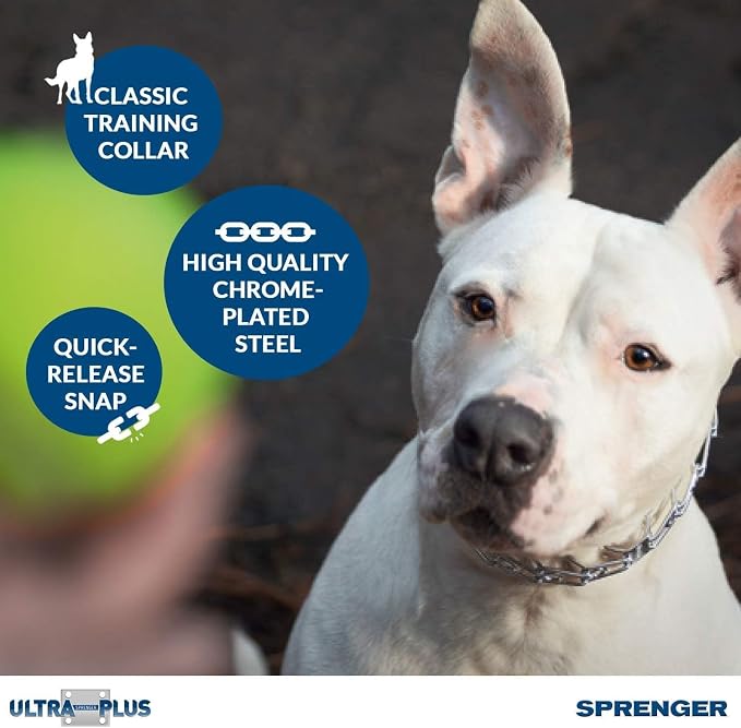 Herm Sprenger Chrome Plated Steel Training Prong Collar with Quick Release Snap for Dogs, 21-22 in x 3mm, Neck Size UP to 18 inches