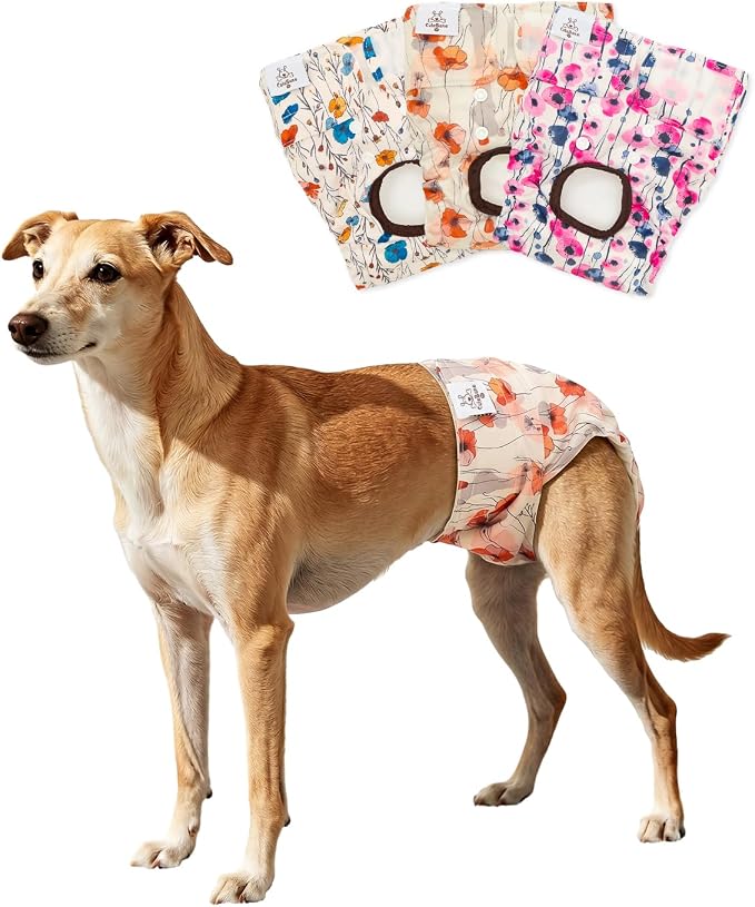 CuteBone Dog Diapers Female Washable Small Medium Large 3 Pack Reusable Doggie Diapers Puppy Period Pants for Doggy Heat Cycle Peeing