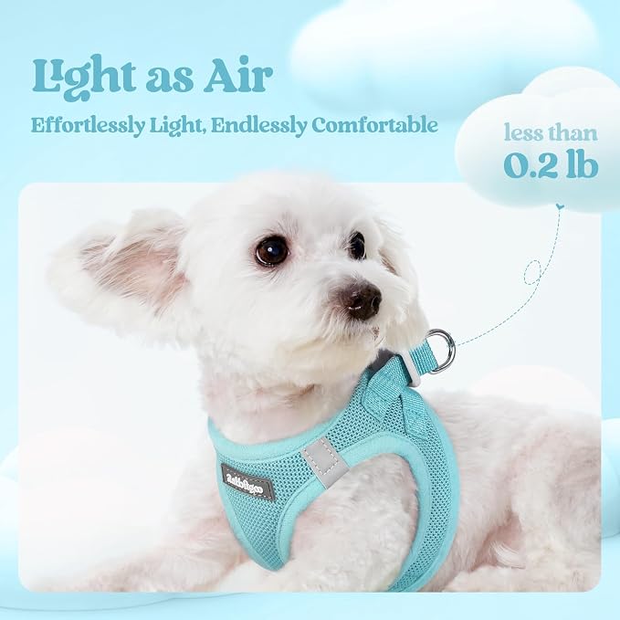 rabbitgoo Dog Harness Medium Sized and Leash Set, Step-in Puppy Pet Vest | Light, Soft, Breathable Air Mesh, Easy on and Remove with Hook & Loop, Secure Reflective for Walking, Mint Blue XXL