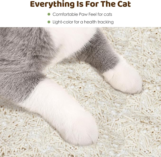 EZSKUUP Non-Stick Bottom Tofu Cassava Cat Litter, 2Pack Ultra Clumping Low Tracking Kitty Litter, Natural Biodegradable Litter, Plant Odor Control, Low Dust Easy to Scoop,18Lb