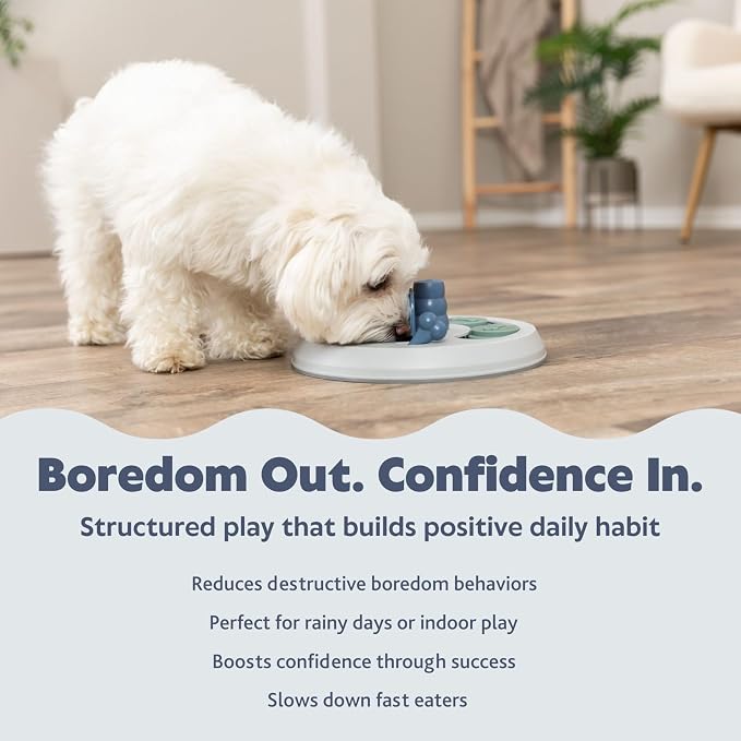 TRIXIE Flip Board Dog Activity Interactive Toy, Level 2 Food Puzzle Game, Brain Teasing Treat Dispenser, IQ and Mental Development Toy for Smart Dogs, Enrichment Toy for Boredom Busting | Challenging strategy game for mental stimulation and slower feed...