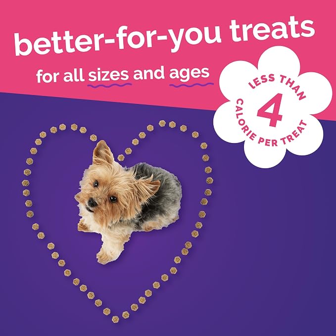 Fruitables Skinny Mini Dog Treats, Training Treats, Grilled Bison, 12oz | Healthy Dog Treats, Crunchy Dog Biscuits, Healthy Puppy Treats, Limited Ingredient, Training Rewards, Made in USA