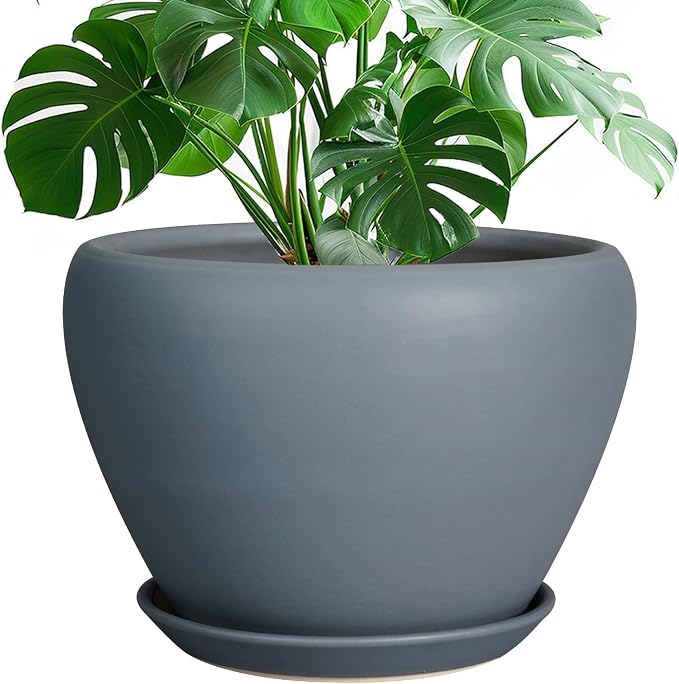 Ceramicfor 10 Inch Plant Pot - Ceramic Planter for Indoor Plants Large Plant Pot with Drainage Hole and Saucer Round Outdoor Planter Modern Flower Pot for Home Decor Gray