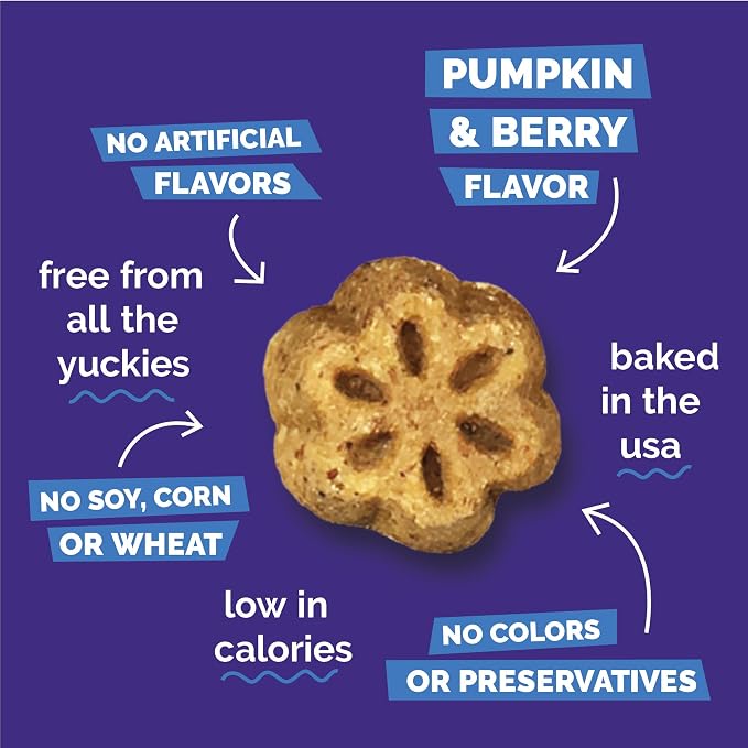 Fruitables Skinny Minis Soft & Chewy Dog Training Treats, Low Calorie Pumpkin & Berry Recipe, Bite-Sized Rewards for Puppies & Adult Dogs, No Wheat Corn or Soy, Made in USA, 20 oz