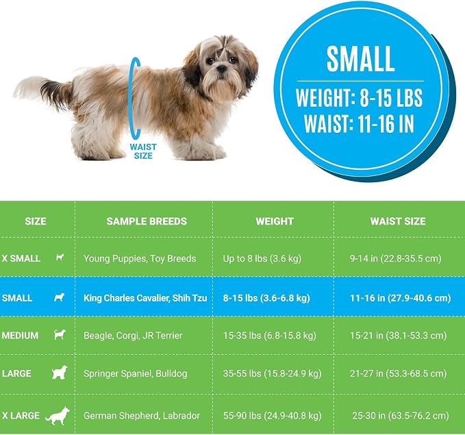 Bodhi Dog Disposable Male Dog Diapers - Super Absorbent, Leak-Proof Pee Wraps - Adjustable Fit, Comfortable Design, Advanced Moisture Control, and Wetness Indicator - Small (20 Count) (Pack of 3)
