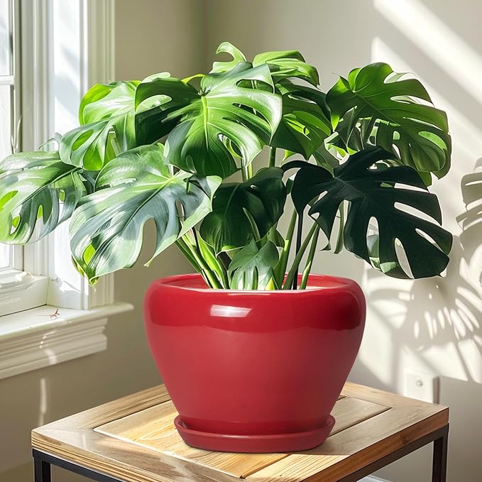 Ceramicfor 10 Inch Plant Pot - Ceramic Planter for Indoor Outdoor Plants, Glaze Modern Round Planter with Drainage Hole and Saucer, Gifts for Plant Lovers, Home Room Garden Decor, Red