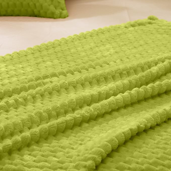Vessia Flannel Fleece Twin Size Blanket(60x80 inch), 3D Jacquard Green Fuzzy and Warm Blanket for Couch,Sofa,Bed,Chair, 300GSM Super Soft Touch Cozy Lightweight Bed Home Decor for All-Season