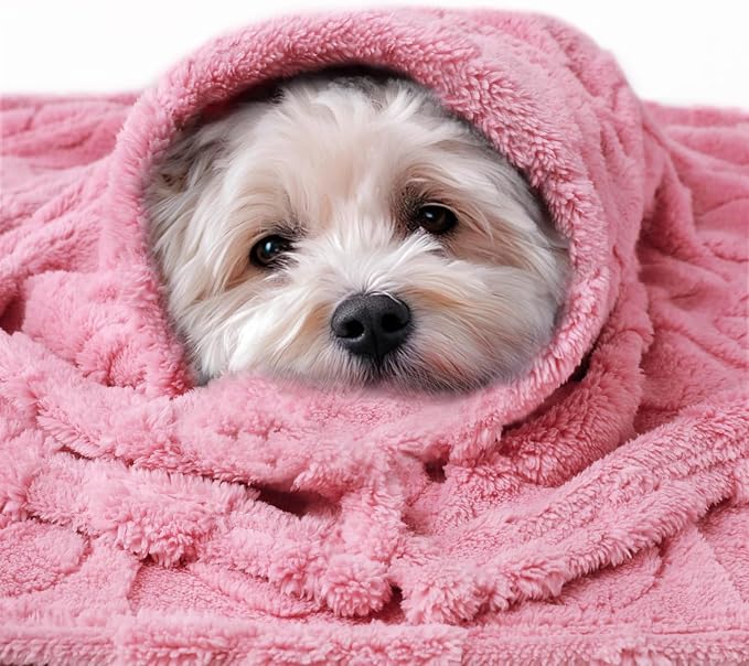 Luciphia 2 Pack Small Dog Blanket, Cozy Fleece Throw for Puppy Cat,41"x31" | Pink Blanket Washable for Medium/Large Dogs, Cute Cover on Bed Couch Crate Car, Puppy Essentials, Dog Gift,2PCs Pink/Beige