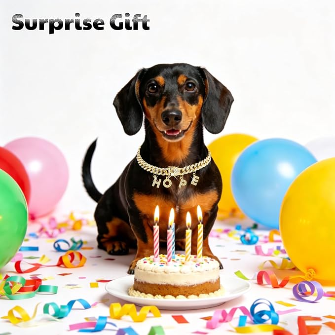 Custom Dog Chain Collar with Name, Diamond Collars Metal Chain Necklace with Secure Buckle, Cuban Style Jewelry Accessories for Puppy Small Medium Large Dogs(Gold, 14 Inch)