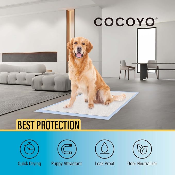 COCOYO Dog Training Pads Large Size丨Eliminating Urine Odor Puppy Pads 丨 Premium Dog Pee Pads Value Pack (30 Count, L 26x30 inch)