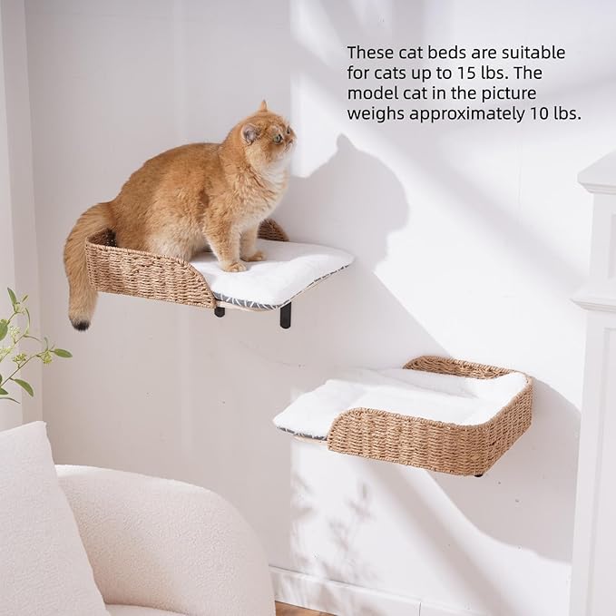 SHENGOCASE 2-Pack Wooden Cat Wall Window Bed with Handwoven Guardrail, Wall-Mounted Perch Furniture Set with 3 Steps