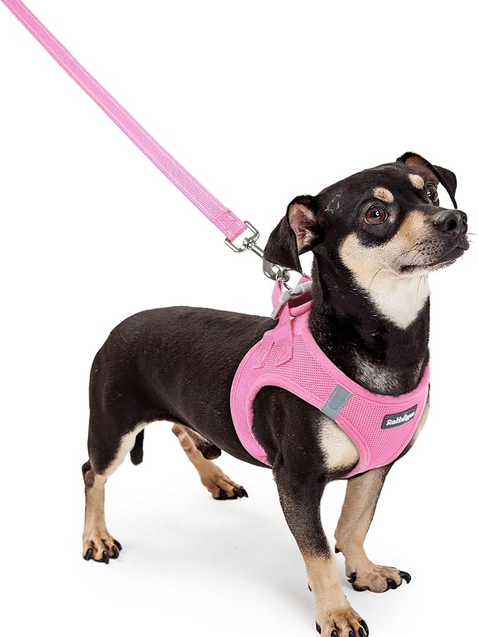 rabbitgoo Dog Harness Small Sized and Leash Set, Step-in Puppy Pet Vest | Light, Soft, Breathable Air Mesh, Easy on and Remove with Hook & Loop, Secure Reflective for Walking, Light Pink XXXS