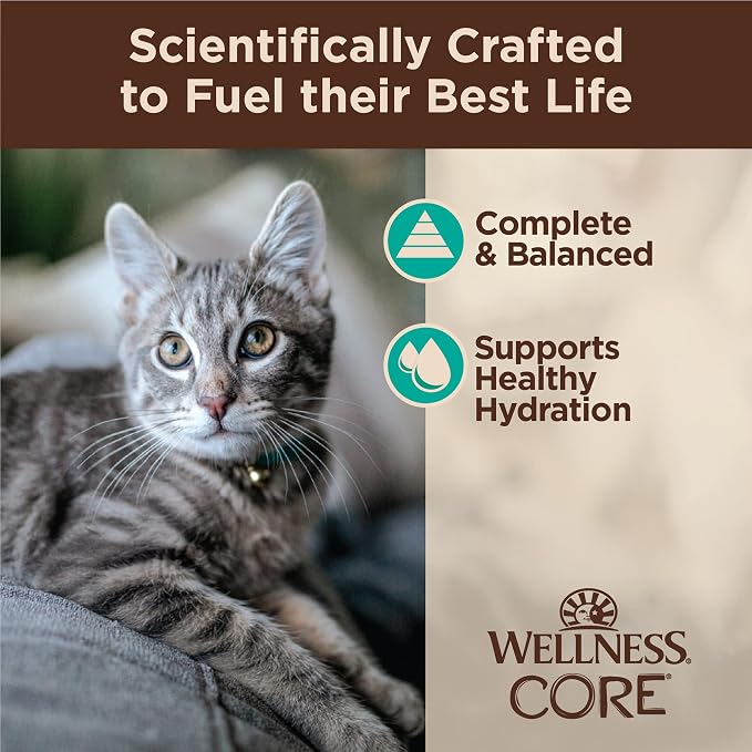 Wellness CORE Tiny Tasters Flaked Adult Wet Cat Food,Natural,Protein-Rich,Grain Free,1.75-Ounce Pouch,(Tuna & Salmon),(Pack of 24)