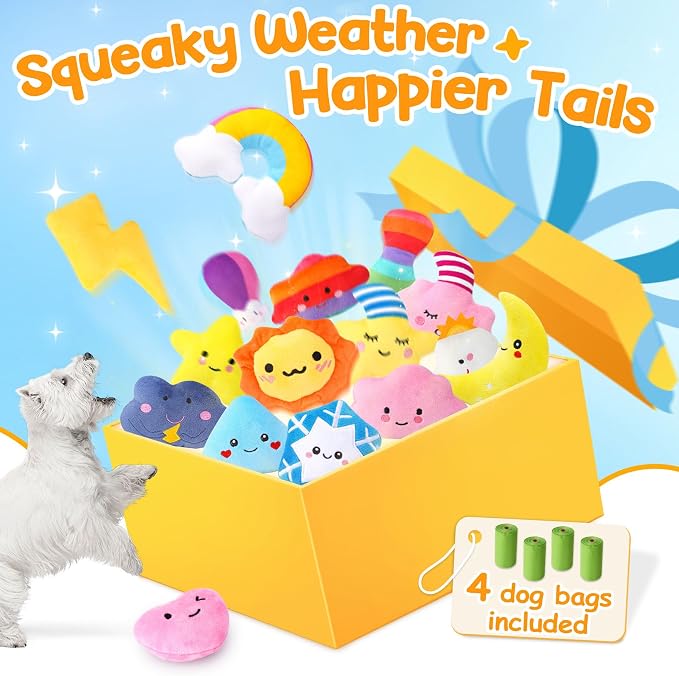 Weather-Themed 20-Pack Squeaky Dog Toys Set