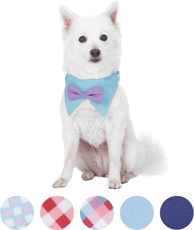 Blueberry Pet Sophisticated Pastel Blue Checker Adjustable Dog Bandana Collar with Bow Tie, Small, Neck 12"-16"