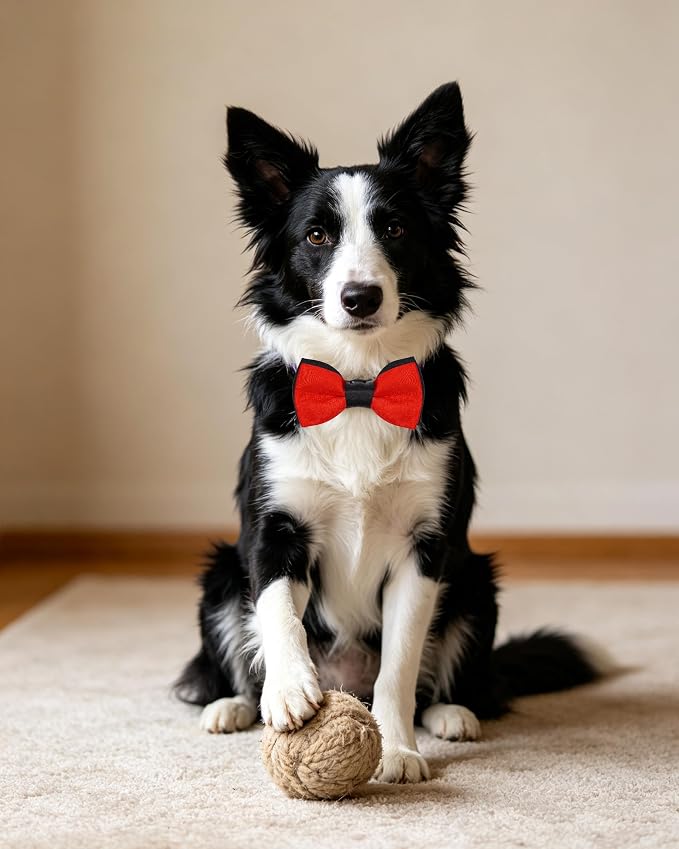 PET SHOW 5 Pack Mixed Color Dog Bowties for Large Dogs Slide on Collar