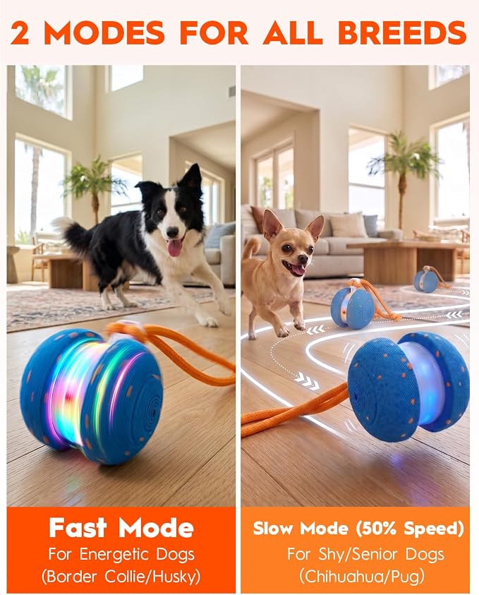 Xeuch Interactive Dog Toys, Automatic Irregular Moving and Rolling Dog Ball | 2 Speed Modes, E-TPU Material, Motion Activated Pet Toys with Rope for Dogs Puppies, Dog Stimulation Toy Blue