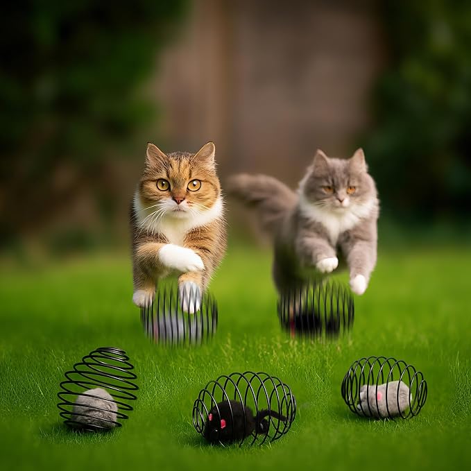 Jecery 5 Pcs Cat Toys Spring,Mouse,Black