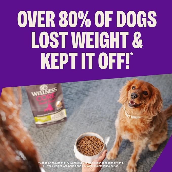 Wellness CORE Healthy Weight Small Breed Adult Dry Dog Food, Grain Free Kibble, Natural, High Protein, Turkey and Chicken Recipe, 4 lb Bag