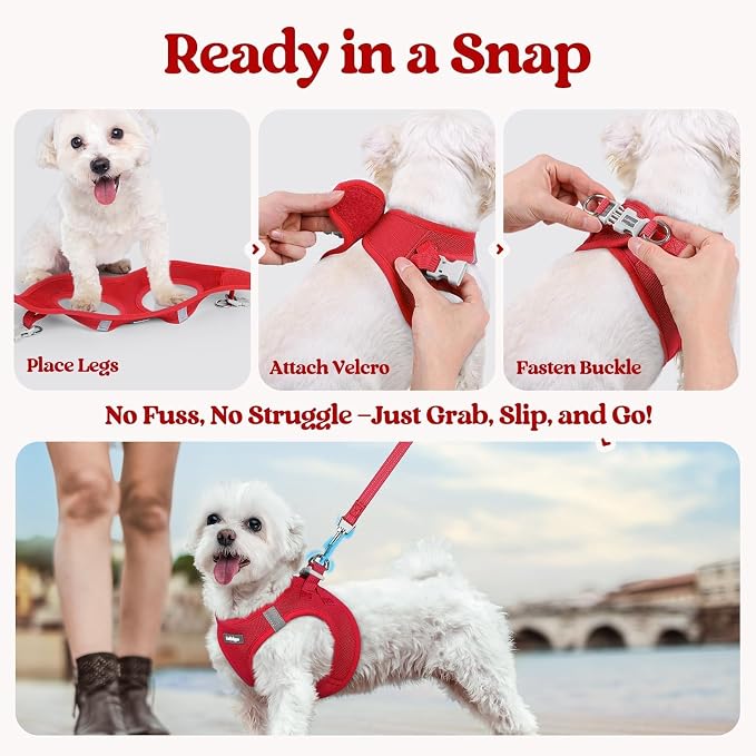 rabbitgoo Dog Harness Small Sized and Leash Set, Step-in Puppy Pet Vest | Light, Soft, Breathable Air Mesh, Easy on and Remove with Hook & Loop, Secure Reflective for Walking, Red XXS