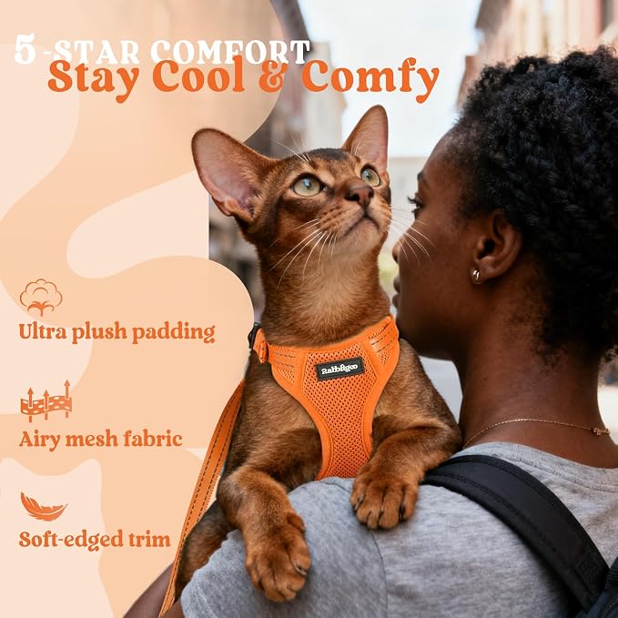 rabbitgoo Cat Harness and Leash, Easy-on with Neck Buckle, Orange