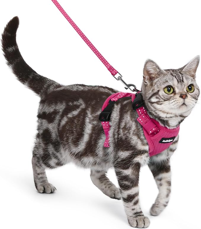 rabbitgoo Cat Harness and Leash Set, Easy-on with Neck Buckle, Rose Red