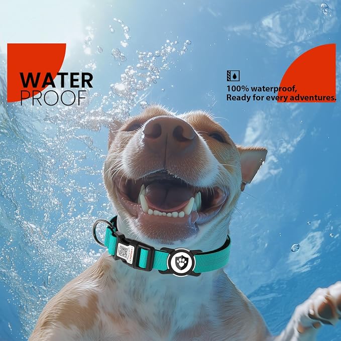 Waterproof AirTag Dog Collar with QR Code Dog Tag, Blue M | IP68 waterproof, QR code dog tag, Anti-Lost, Online profile, fits XS-L (8"-26"), Padded nylon, Reflective, No App, No Fees