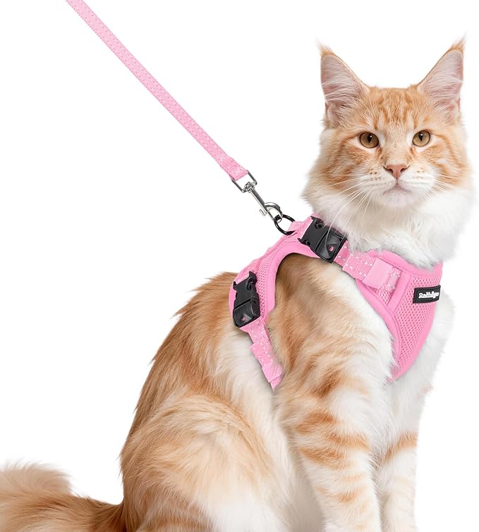 rabbitgoo Cat Harness and Leash, Easy-on with Neck Buckle, Pink