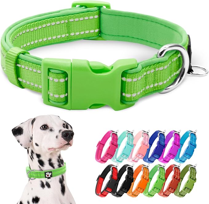 azuza Reflective Dog Collar, Neoprene Padded Large Dog Collar, Green, L