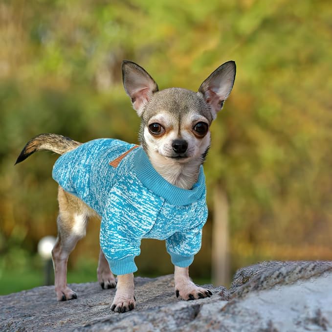 2 Pieces Dog Sweaters for Small Dogs Fall Clothes Female Winter Fleece Sweaters Warm Thick Pet Outfit Coat Small Dog Sweater for Girl Boy Dogs, Yorkie, Chihuahua, Pug, Cat, Pug,S,Blue,Grey