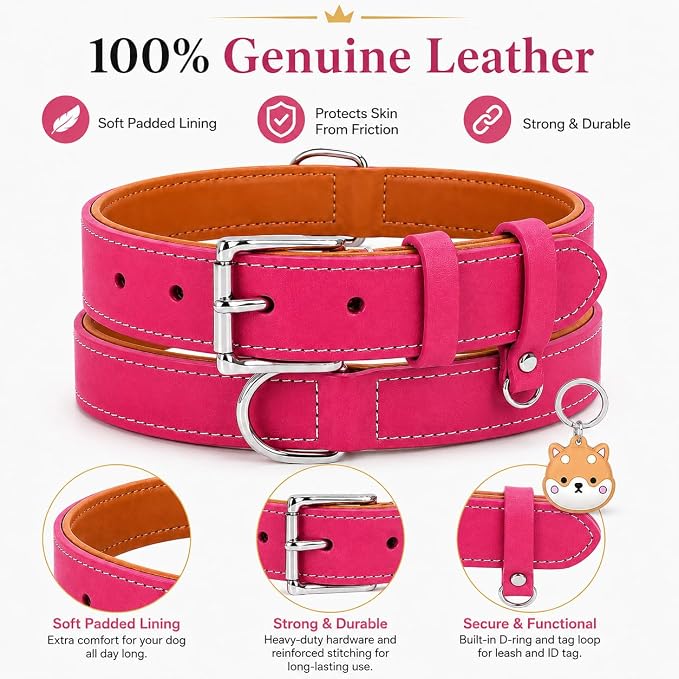 Genuine Leather Dog Collar, Soft Padded Leather Dog Collars with Airtag Holder Case for Small Medium Large X-Large Dogs,Comfort Heavy Duty Pet Collar with Durable Metal Buckle & D-Ring-Pink/M