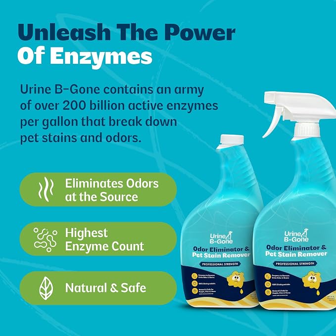 Urine B-Gone Enzyme Cleaner for Human & Pet Urine, Original, 32 oz, 2-Pack | Two 32 oz bottles of enzyme cleaner for human, cat and dog urine on laundry, carpets and more; original scent.