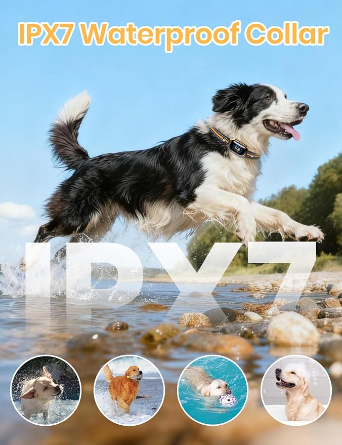 Smart 2-in-1 Bark and Shock Collar for Dogs - AI Anti-Misoperation, 3300FT Remote Training Collar, IPX7 Waterproof, 4 Modes (Tone, Vibration, Safe Shock, Auto Anti-Bark) for Dogs