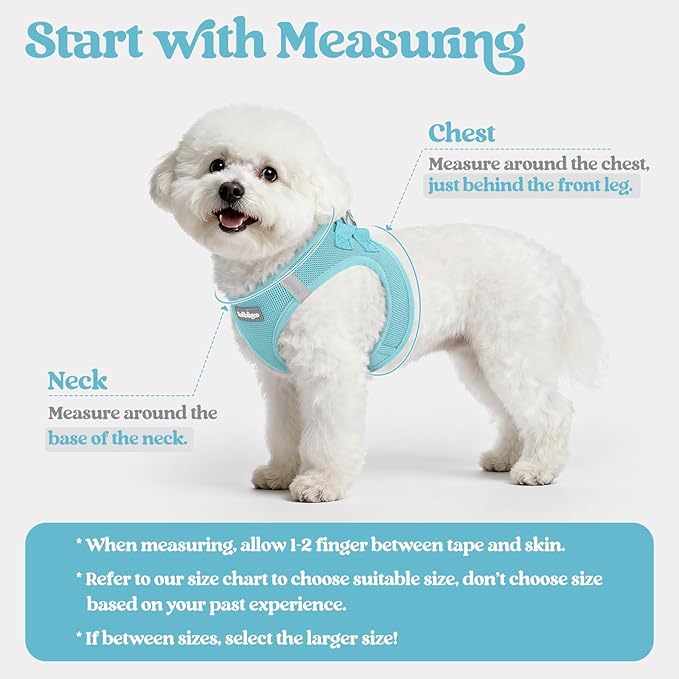 rabbitgoo Dog Harness Small Sized and Leash Set, Step-in Puppy Pet Vest | Light, Soft, Breathable Air Mesh, Easy on and Remove with Hook & Loop, Secure Reflective for Walking, Mint Blue S