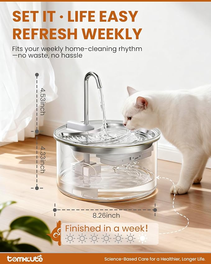 Tomxcute Glass Cat Water Fountain-84oz Dishwasher Safe Cat & Dog Fountain | Borosilicate Glass Bowl,Easy to Clean,Prevents Feline Acne,Ultra Quiet Pump,Warm Light,Gifts for Cats, Dogs