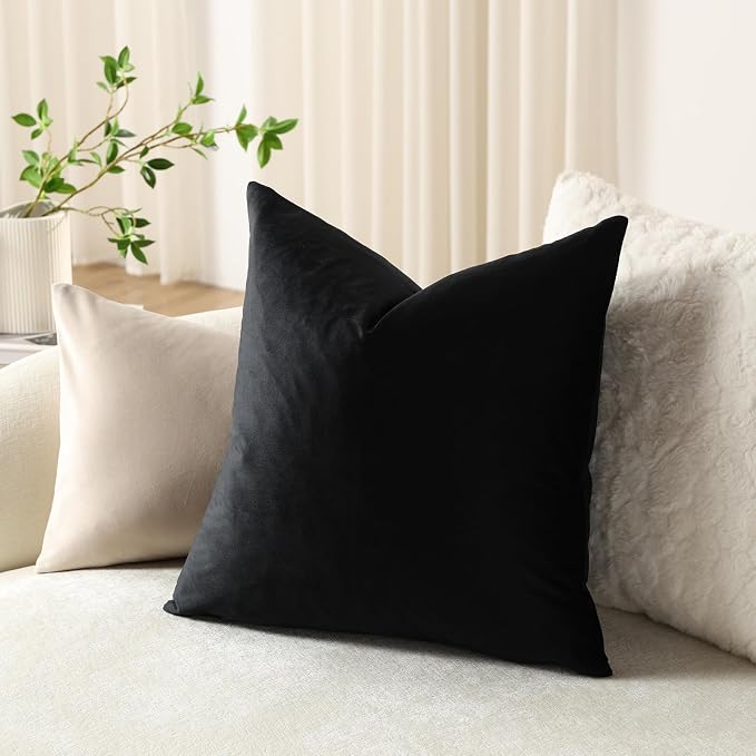 Throw Pillow Covers 18x18 Black: Pack of 2 Cozy Soft Velvet Square Modern Luxury Decorative Throw Pillow Cases for Sofa Couch Living Room Bed Home Decor