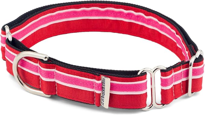 If It Barks 1" Martingale Collar Handmade OC Stripe, Medium, Shortcake