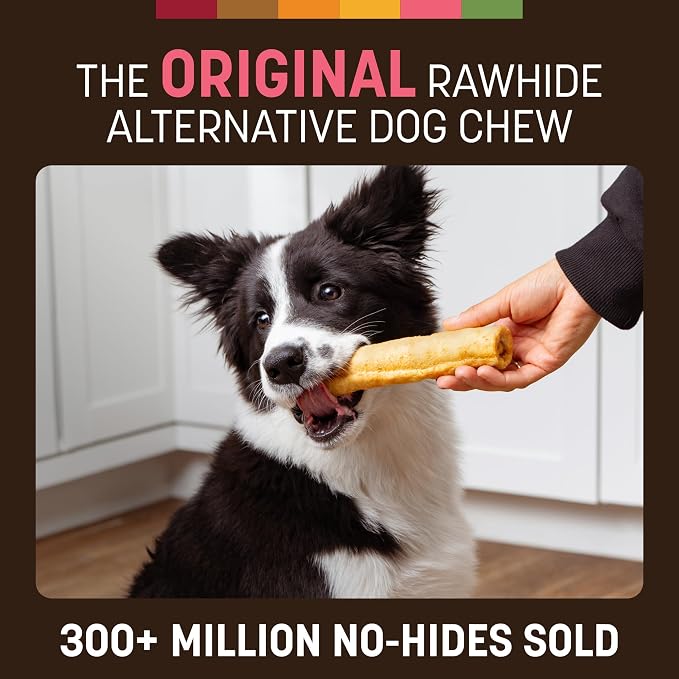 Earth Animal No Hide Dog Chews - Rawhide Free Medium Rolls 6 Count Salmon | Medium Salmon Flavored Natural Rawhide Free Long Lasting Dog Chews - Treats for Medium Dogs and Aggressive Chewers