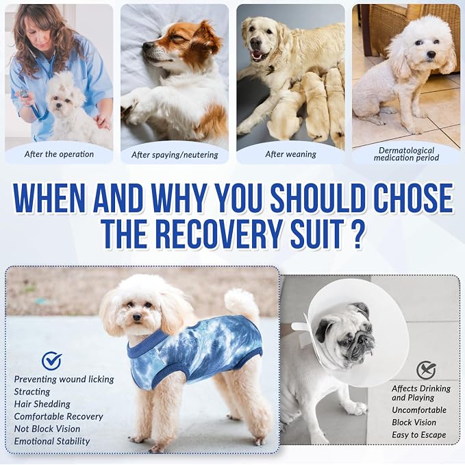 Lukovee Recovery Suit for Dogs, Onesie Spay Neuter Surgery Suit Female Male | Soft Cotton, Easy On Off, Abdominal Wounds Prevent Licking, Prevent Licking Wounds, Cone E-Collar Alternative (Blue, S)